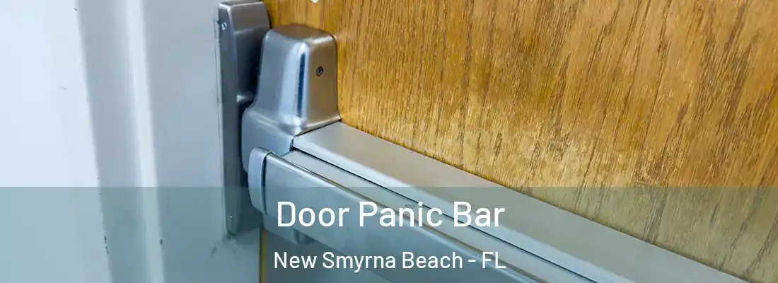 Door Panic Bar New Smyrna Beach - FL