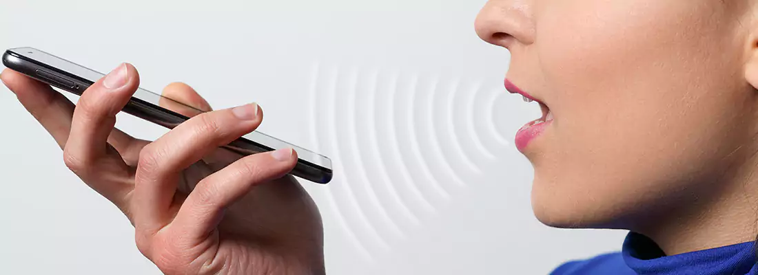 Residential and Commercial Voice Recognition Access Solutions in New Smyrna Beach, FL