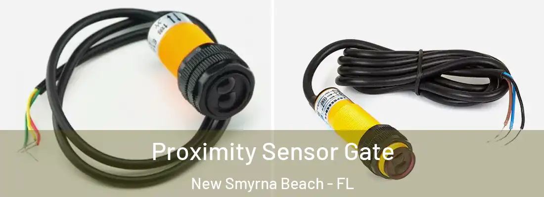  Proximity Sensor Gate New Smyrna Beach - FL